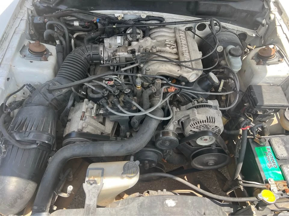 1998 Ford SN95 Mustang - Image 12 of 14