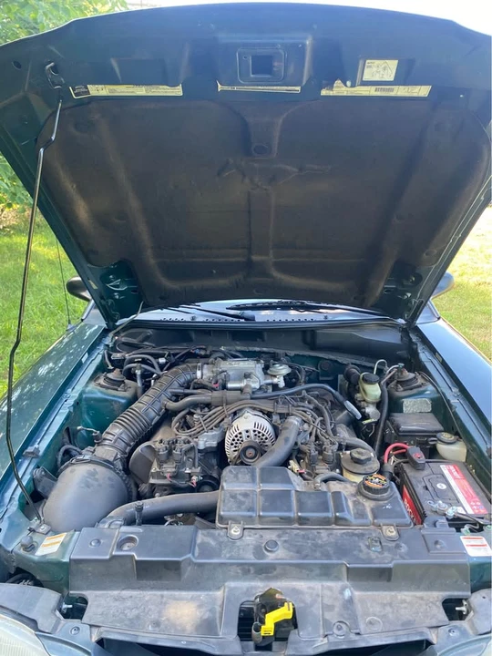 1998 Ford SN95 Mustang - Image 8 of 19