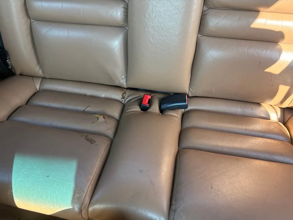 1998 Ford SN95 Mustang - Image 10 of 12
