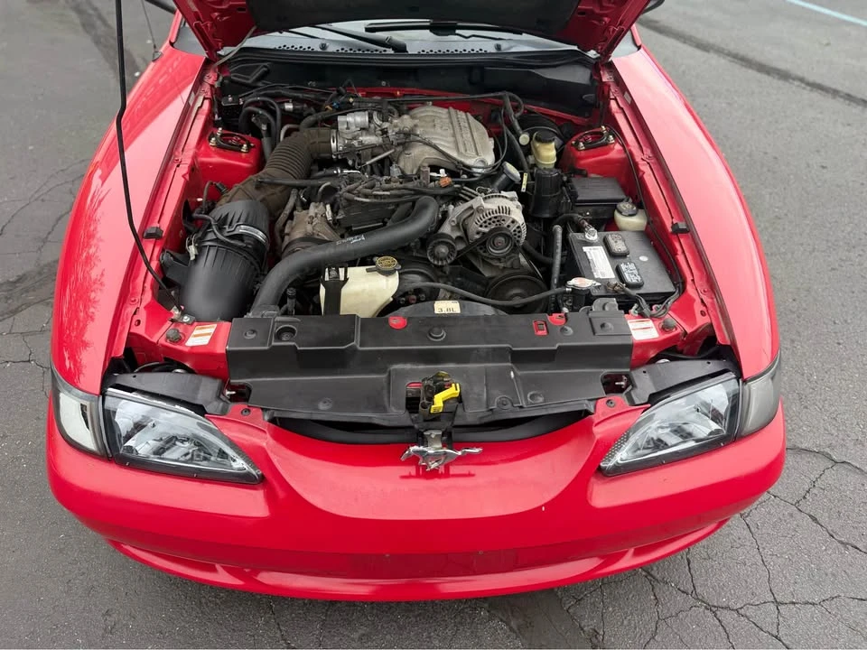 1998 Ford SN95 Mustang - Image 10 of 20