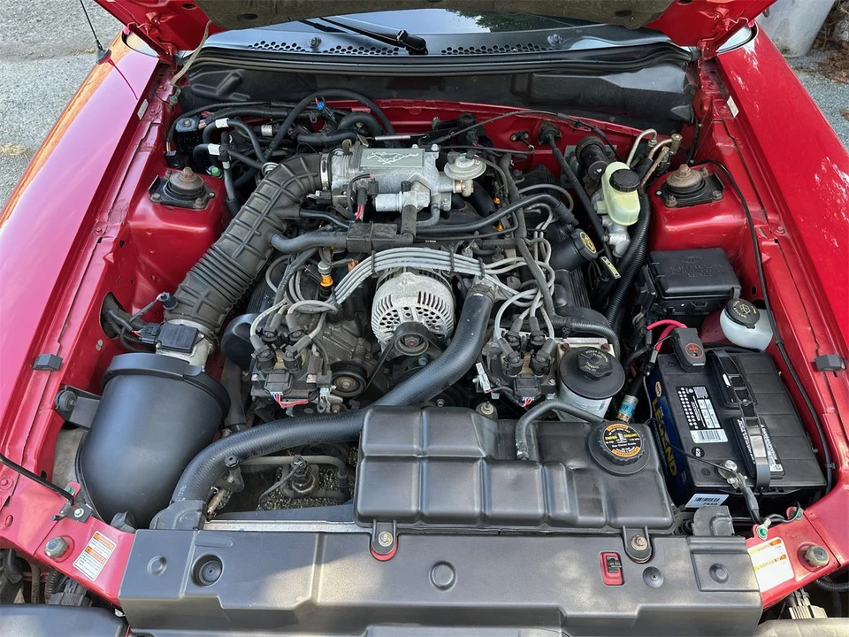 1998 Ford SN95 Mustang - Image 30 of 31
