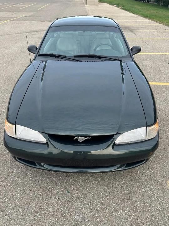 1998 Ford SN95 Mustang - Image 12 of 13