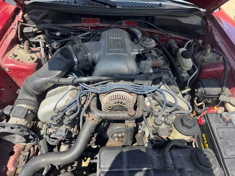 1998 Ford SN95 Mustang - Image 7 of 7