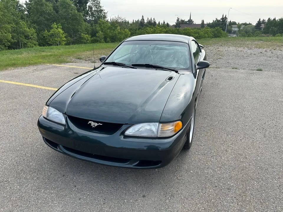1998 Ford SN95 Mustang - Image 3 of 13