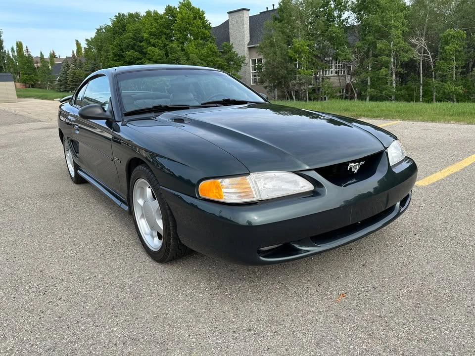 1998 Ford SN95 Mustang - Image 8 of 13