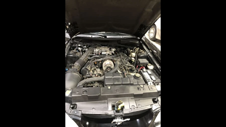 1998 Ford SN95 Mustang - Image 6 of 7