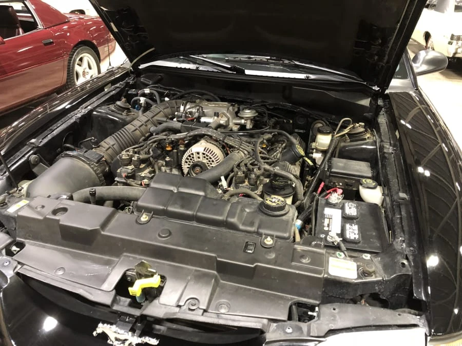 1998 Ford SN95 Mustang - Image 7 of 7