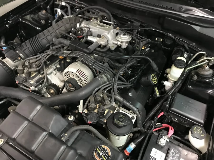1998 Ford SN95 Mustang - Image 6 of 6