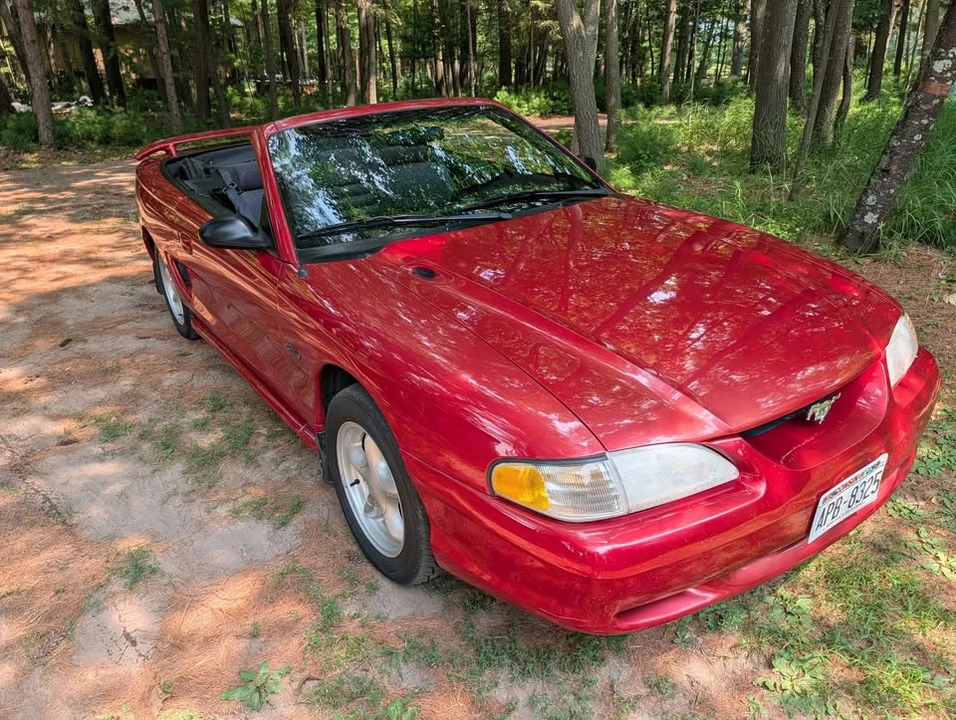 1998 Ford SN95 Mustang - Image 2 of 19