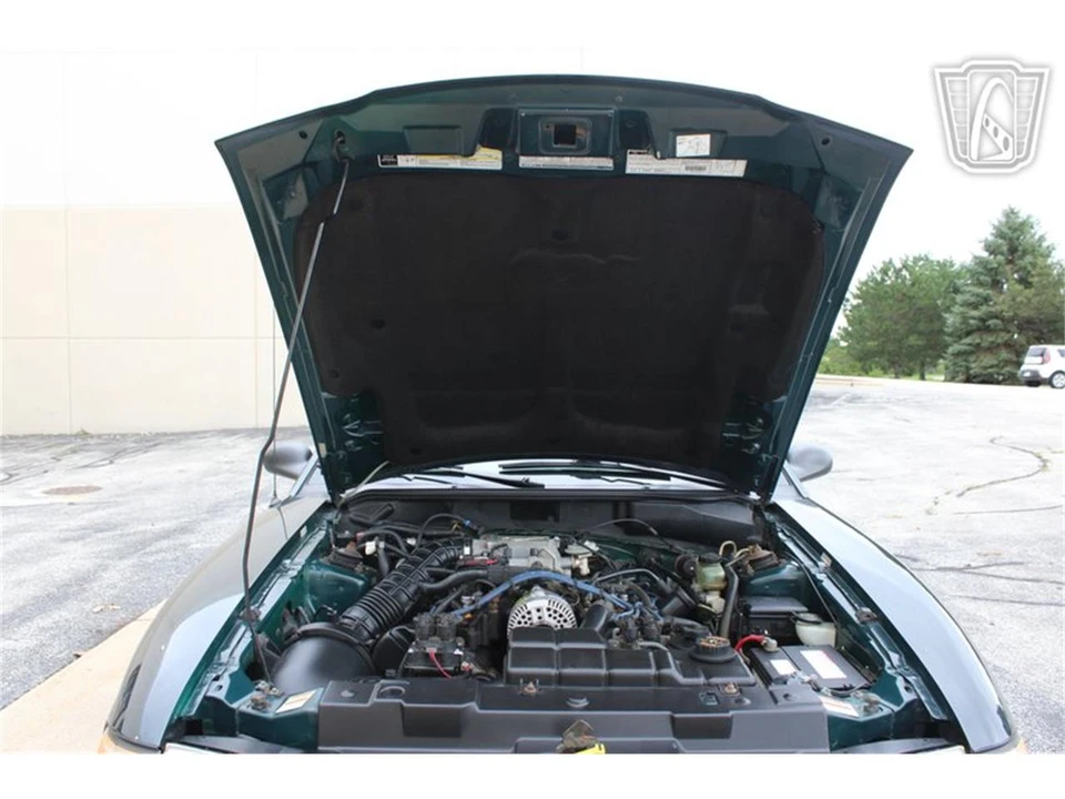 1998 Ford SN95 Mustang - Image 8 of 31