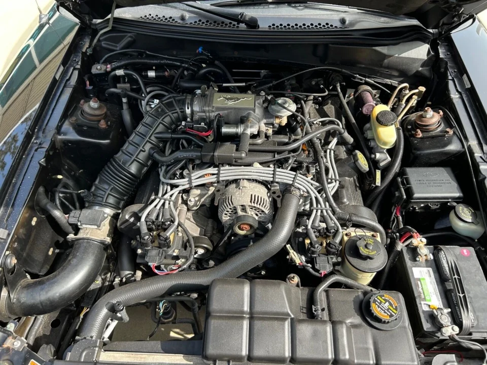 1998 Ford SN95 Mustang - Image 21 of 21