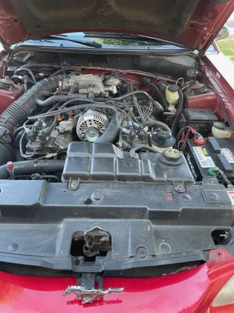1998 Ford SN95 Mustang - Image 4 of 13