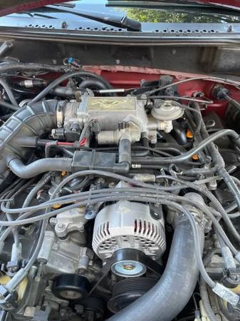 1998 Ford SN95 Mustang - Image 3 of 13
