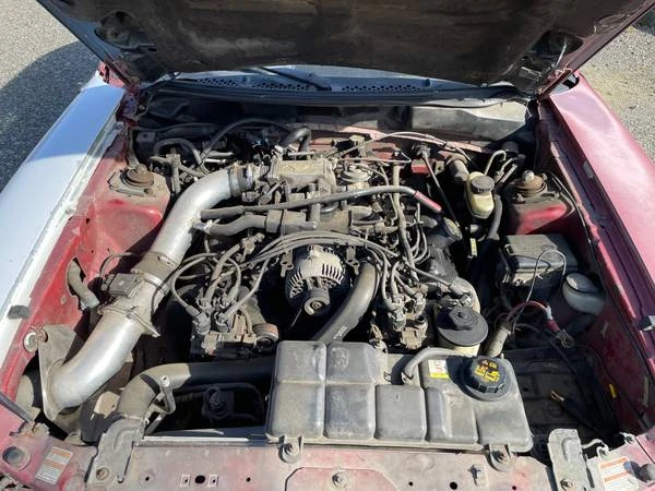 1998 Ford SN95 Mustang - Image 8 of 9