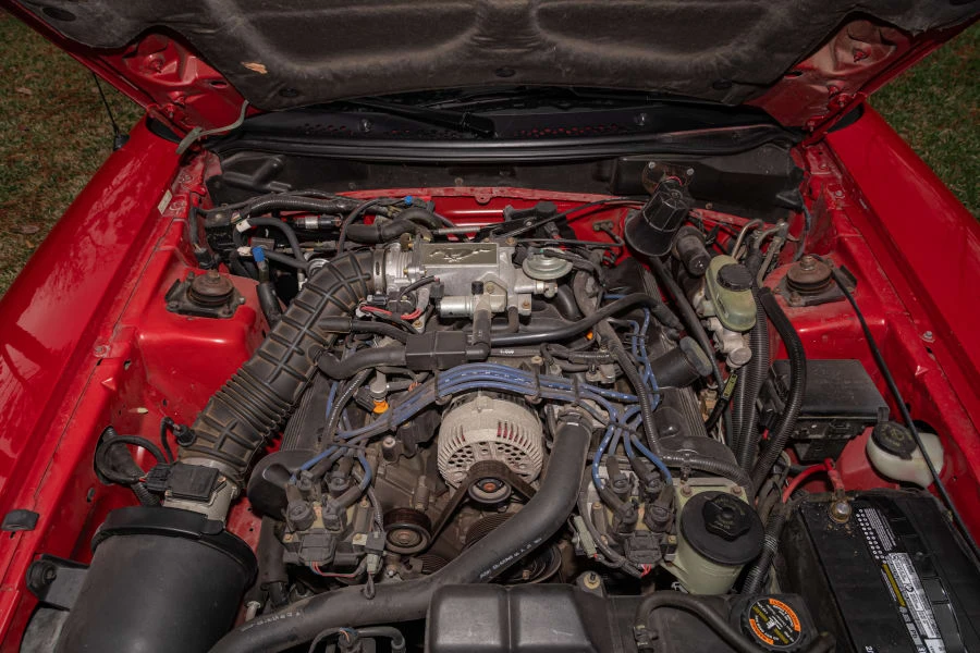 1998 Ford SN95 Mustang - Image 31 of 31