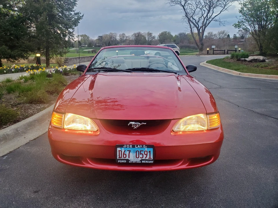 1998 Ford SN95 Mustang - Image 31 of 31