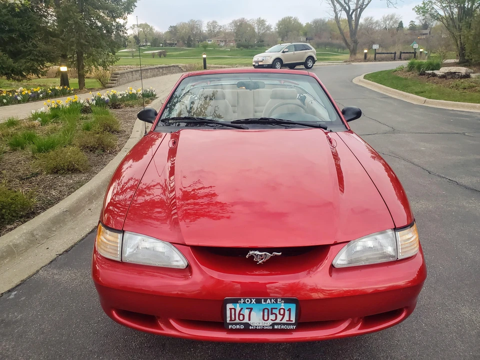 1998 Ford SN95 Mustang - Image 6 of 31