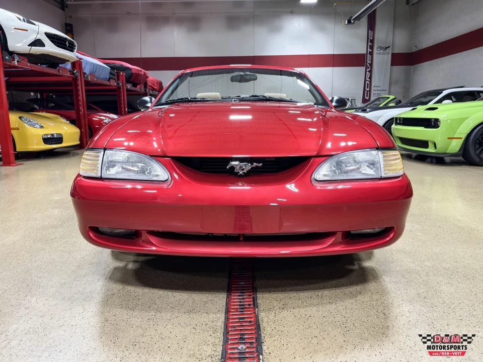 1998 Ford SN95 Mustang - Image 8 of 21
