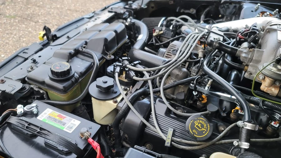 1998 Ford SN95 Mustang - Image 20 of 20