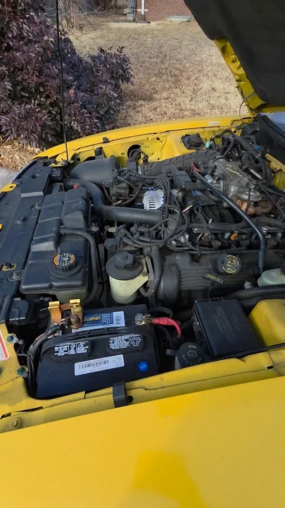 1998 Ford SN95 Mustang - Image 13 of 13