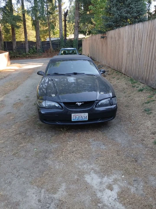 1998 Ford SN95 Mustang - Image 3 of 5