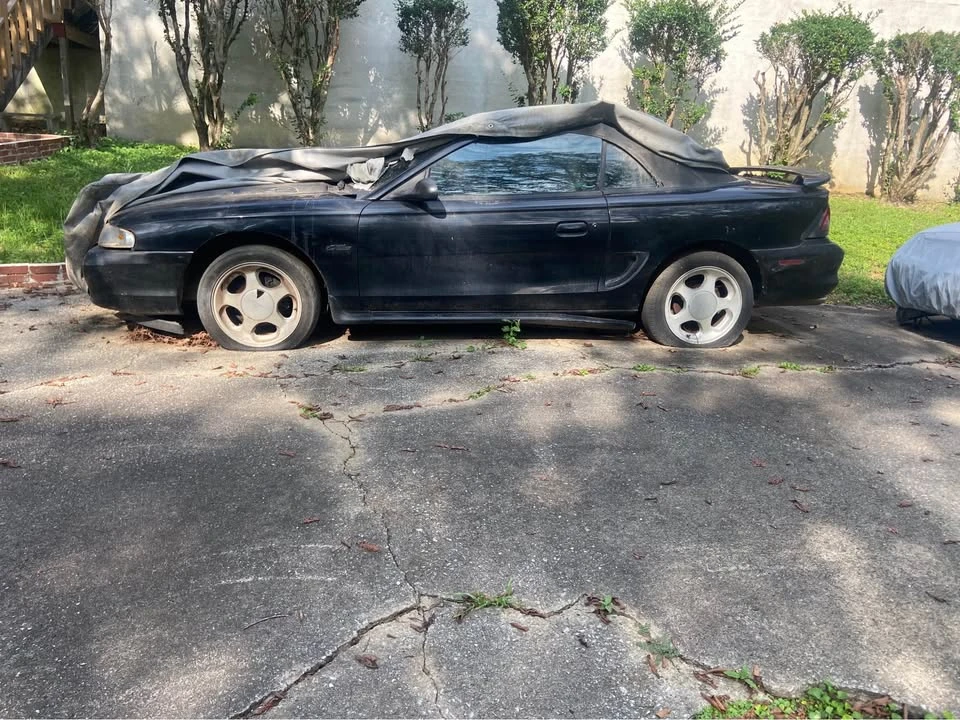 1998 Ford SN95 Mustang - Image 13 of 13