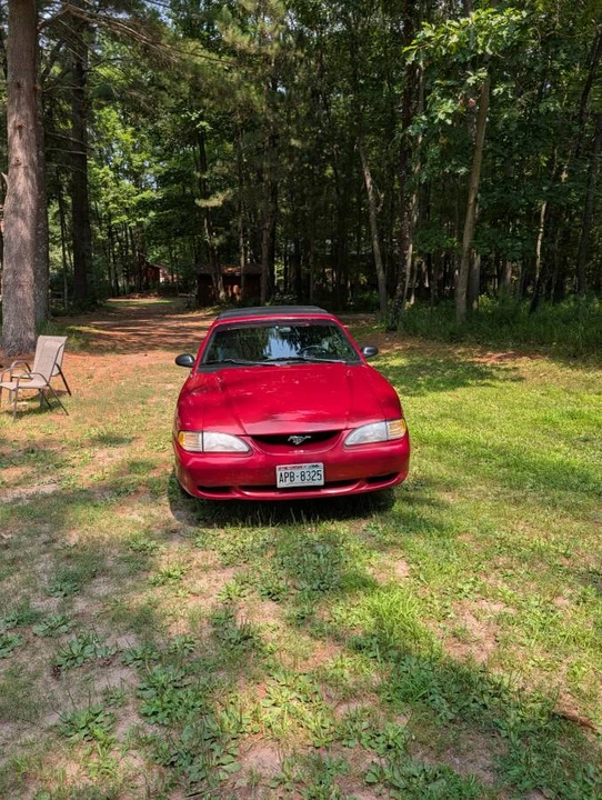 1998 Ford SN95 Mustang - Image 3 of 18