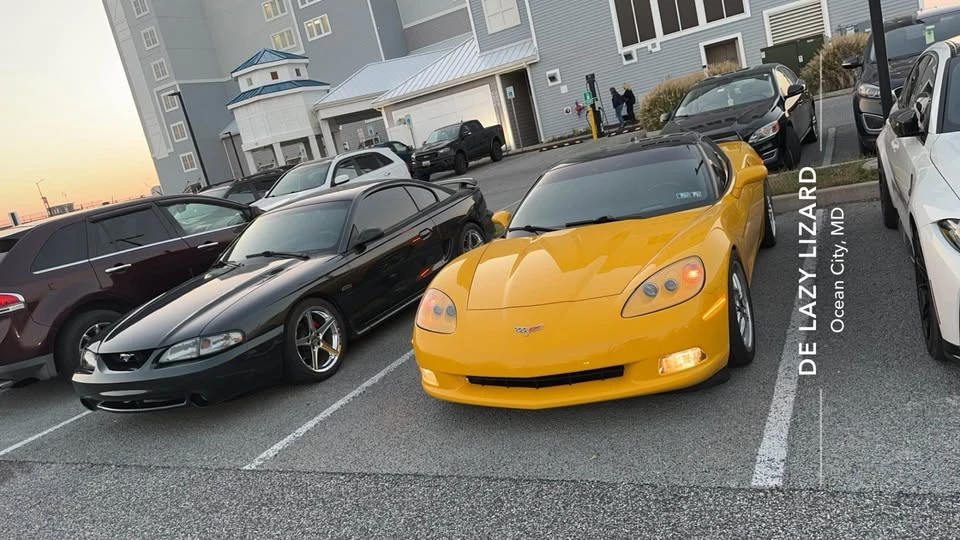 1998 Ford SN95 Mustang - Image 5 of 12