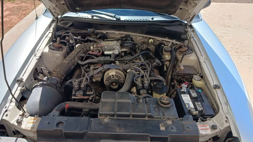 1998 Ford SN95 Mustang - Image 10 of 12