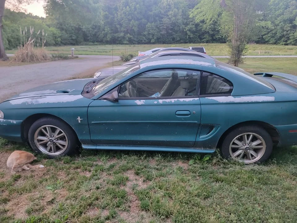 1998 Ford SN95 Mustang - Image 2 of 8