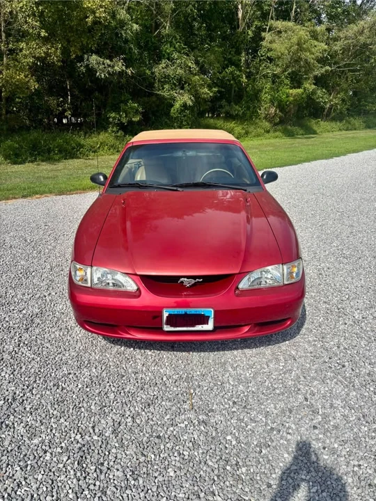 1998 Ford SN95 Mustang - Image 4 of 5