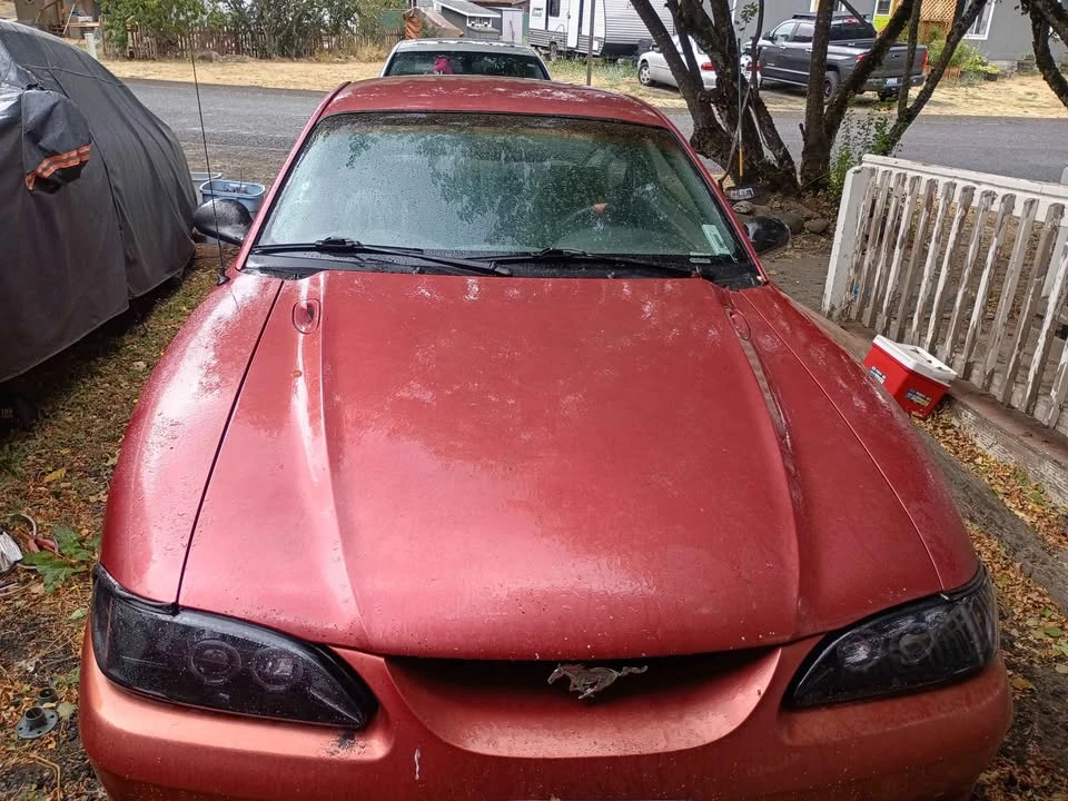 1998 Ford SN95 Mustang - Image 5 of 6