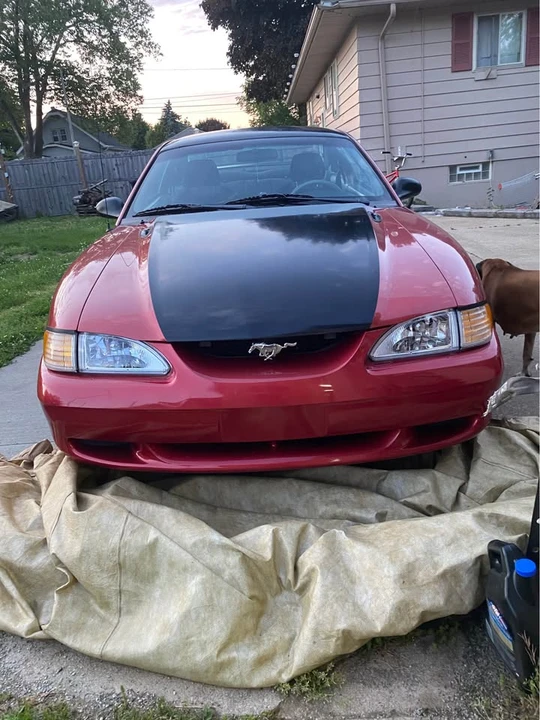 1998 Ford SN95 Mustang - Image 2 of 20