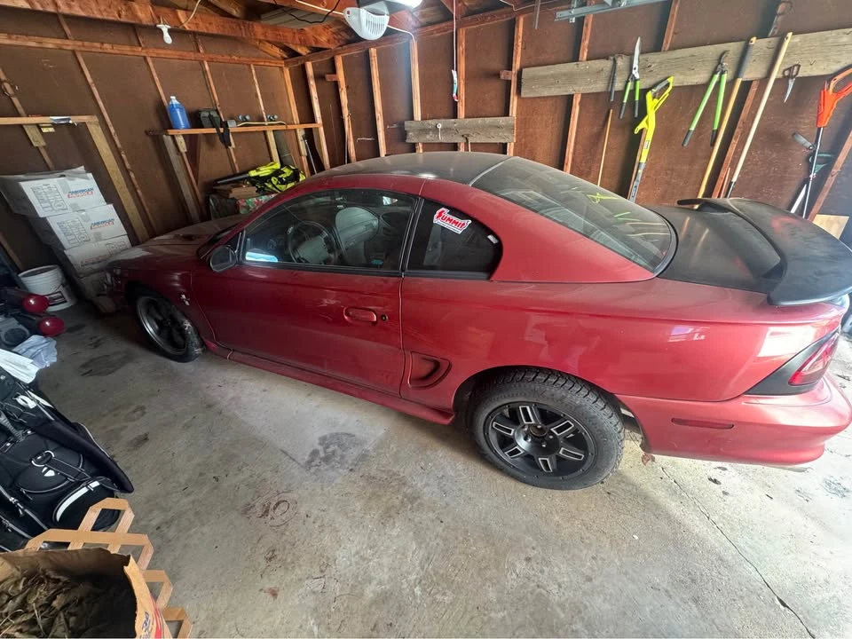 1998 Ford SN95 Mustang - Image 4 of 20