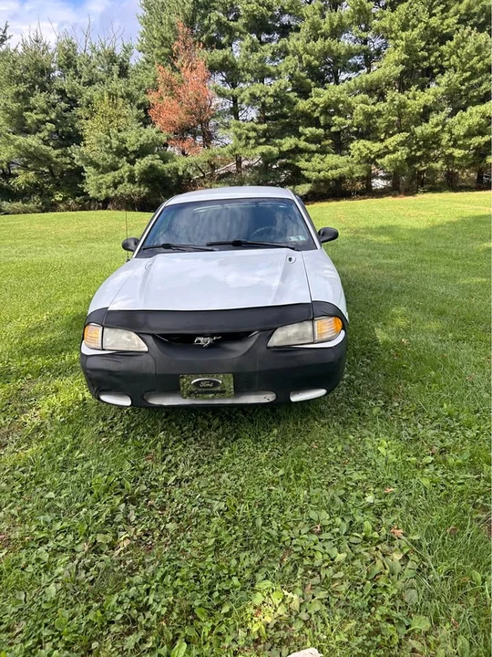 1998 Ford SN95 Mustang - Image 3 of 7