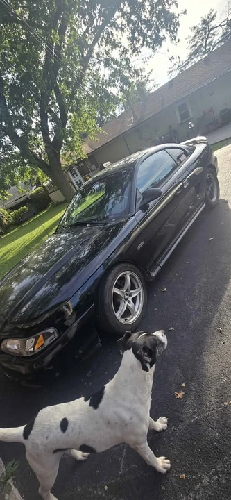 1998 Ford SN95 Mustang - Image 3 of 7
