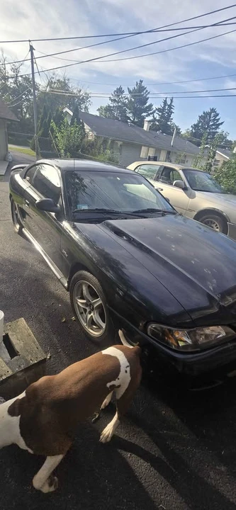 1998 Ford SN95 Mustang - Image 4 of 7