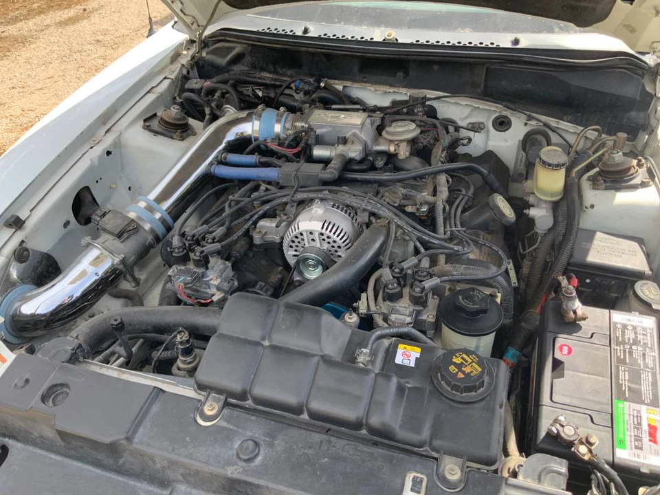 1998 Ford SN95 Mustang - Image 8 of 8