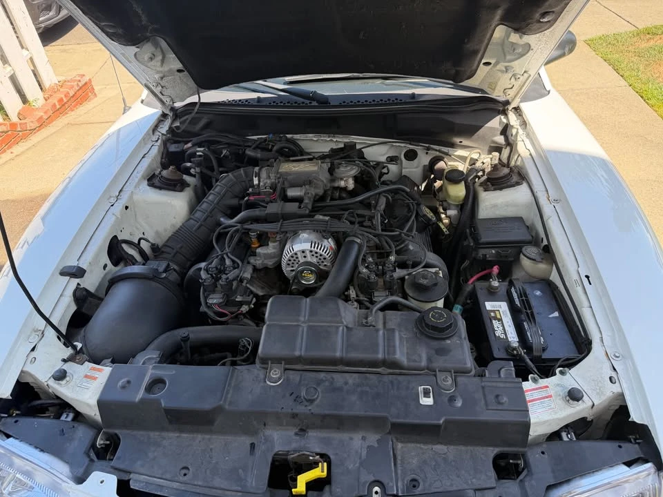 1998 Ford SN95 Mustang - Image 7 of 16