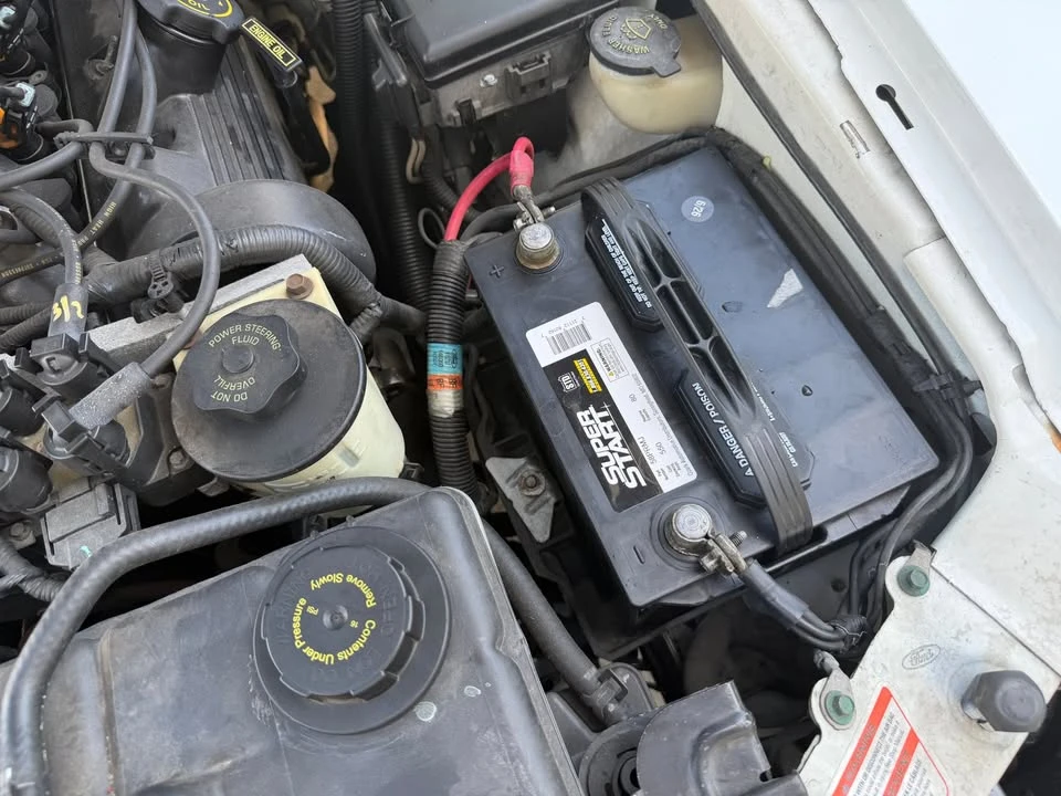 1998 Ford SN95 Mustang - Image 8 of 16
