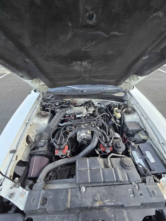 1998 Ford SN95 Mustang - Image 10 of 16