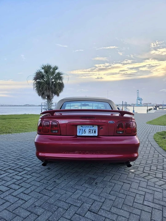 1998 Ford SN95 Mustang - Image 4 of 10