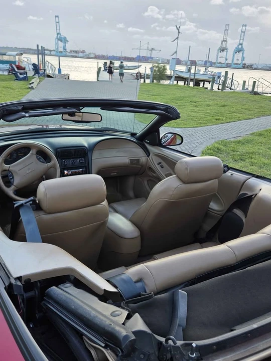 1998 Ford SN95 Mustang - Image 10 of 10