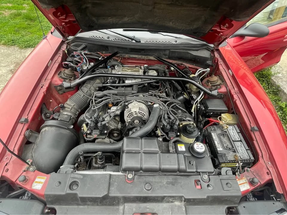 1998 Ford SN95 Mustang - Image 8 of 16