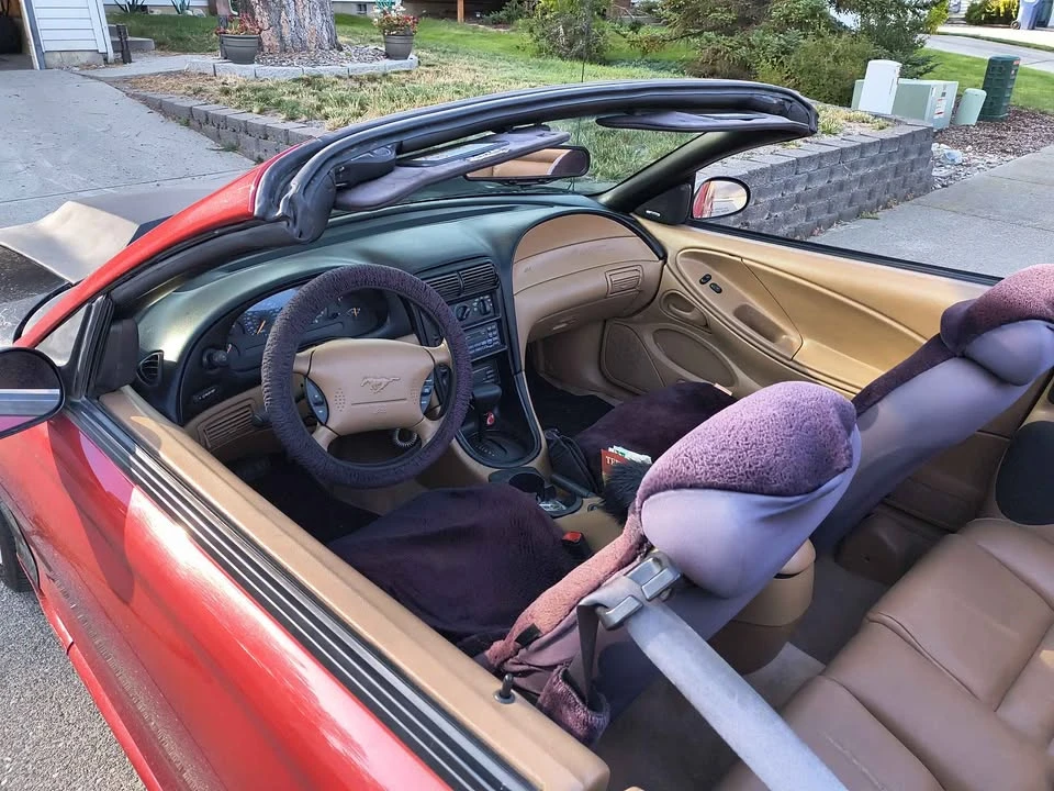 1998 Ford SN95 Mustang - Image 9 of 12
