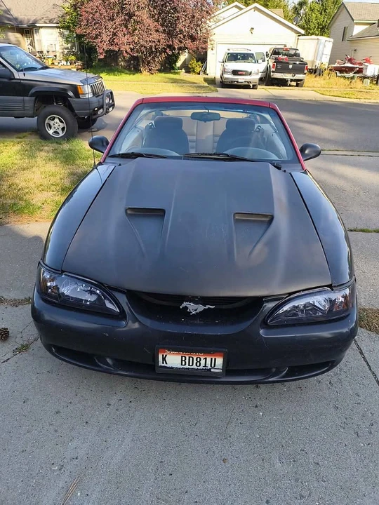 1998 Ford SN95 Mustang - Image 8 of 12