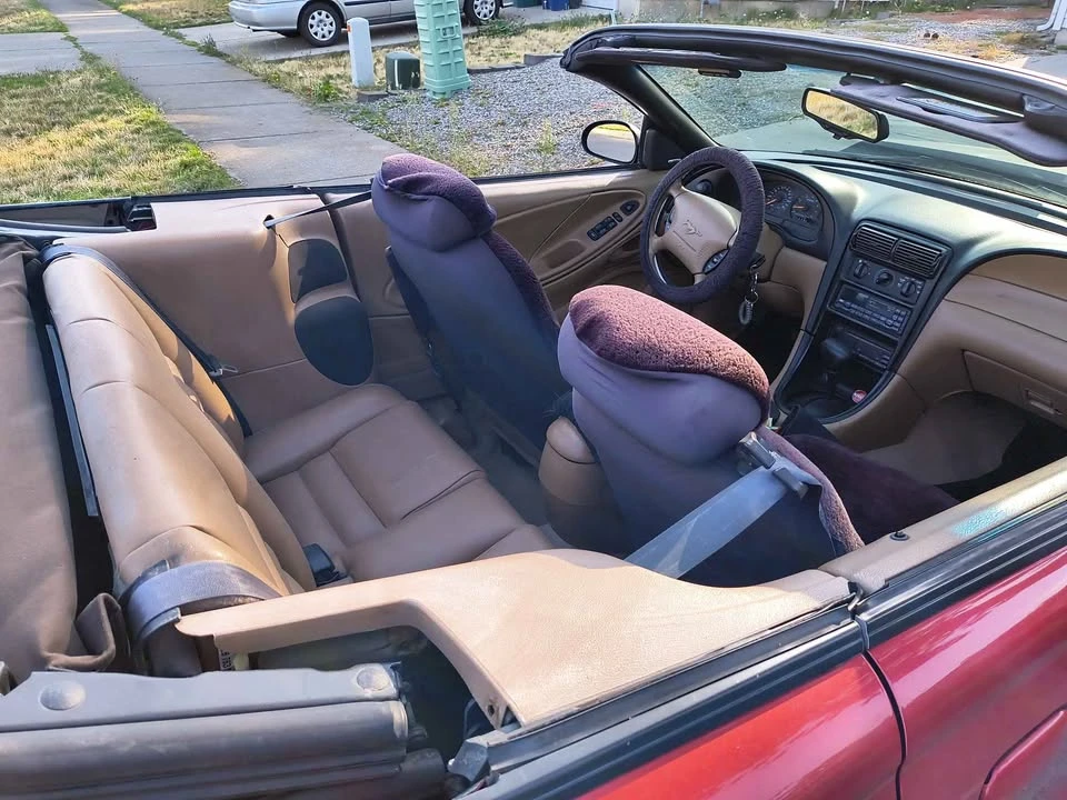 1998 Ford SN95 Mustang - Image 11 of 12