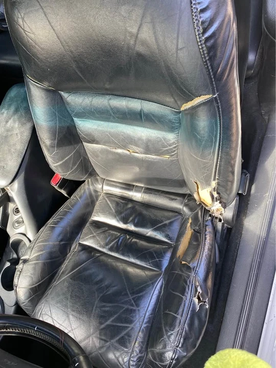 1998 Ford SN95 Mustang - Image 10 of 17