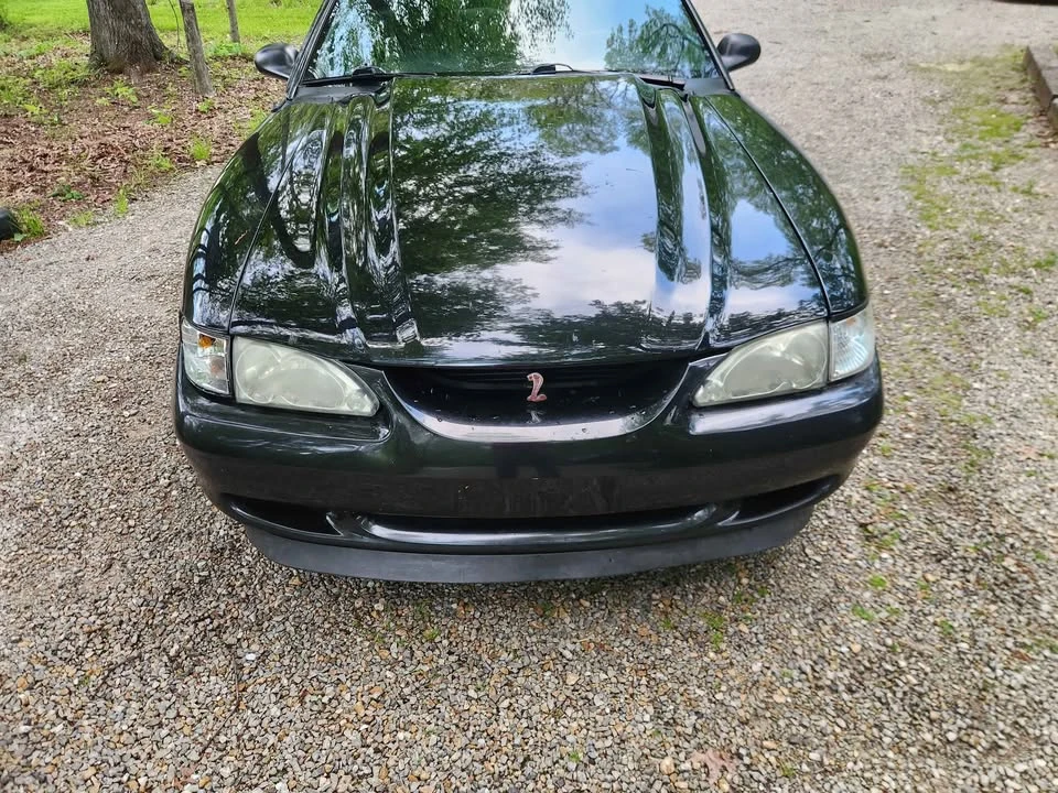 1998 Ford SN95 Mustang - Image 4 of 8