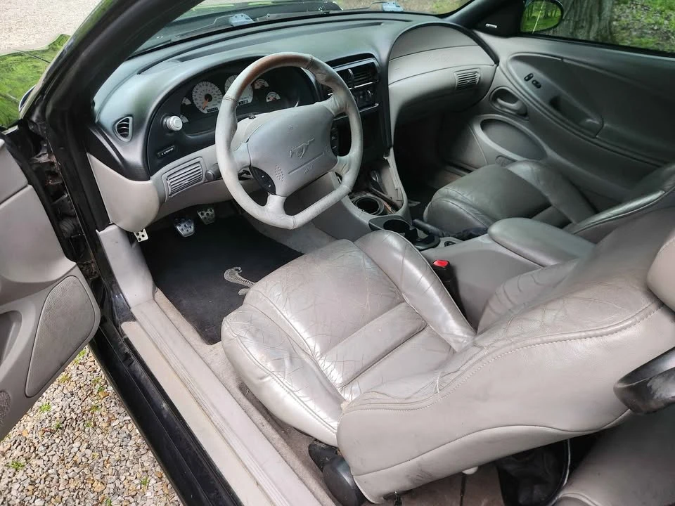 1998 Ford SN95 Mustang - Image 6 of 8